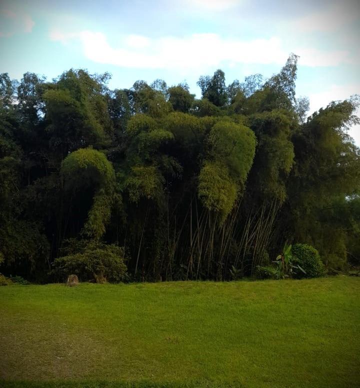 Filandia - Finca Rural La Guadalupana Ξενοδοχείο Εξωτερικό φωτογραφία