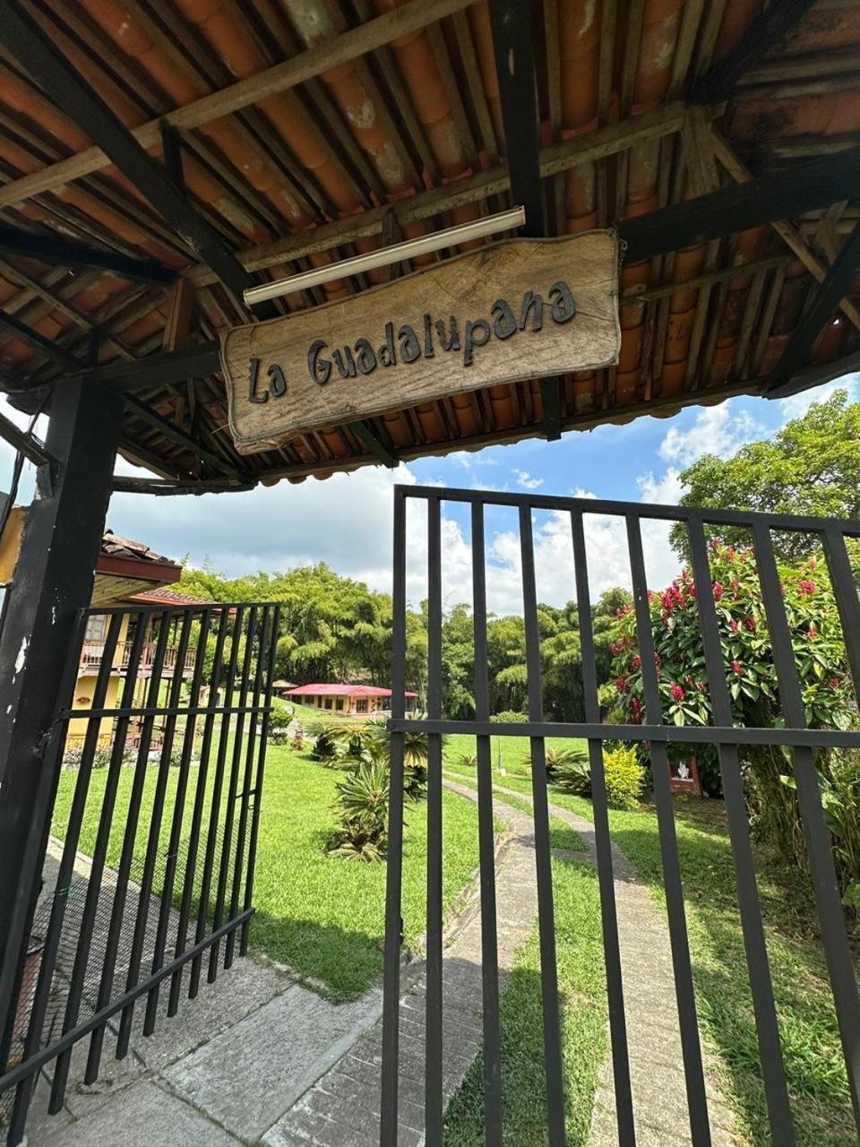 Filandia - Finca Rural La Guadalupana Ξενοδοχείο Εξωτερικό φωτογραφία